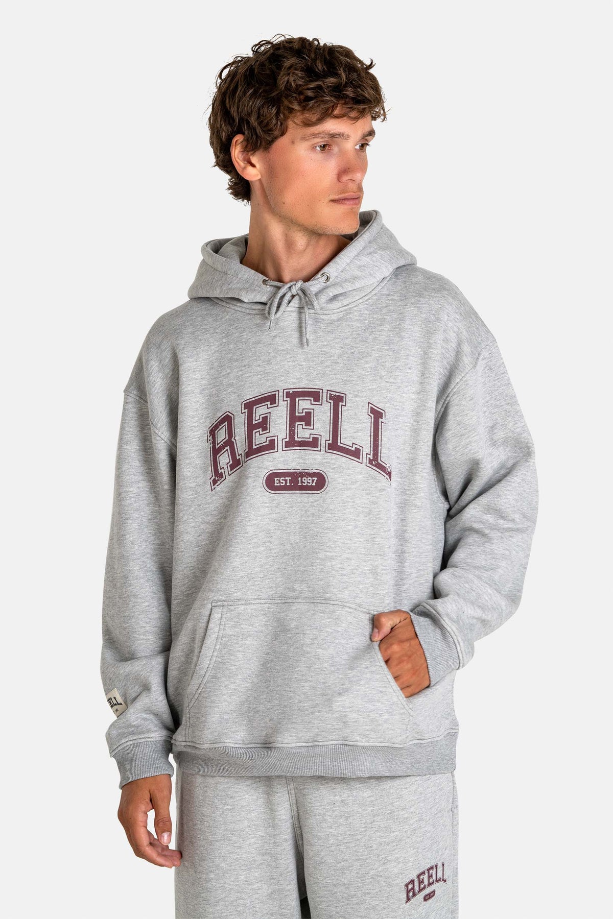 Team Hoodie Grey Melange